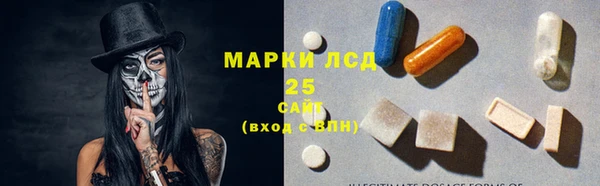 ГАЛЛЮЦИНОГЕННЫЕ ГРИБЫ Алзамай
