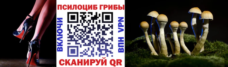 Галлюциногенные грибы мицелий  купить наркотик  Арамиль 